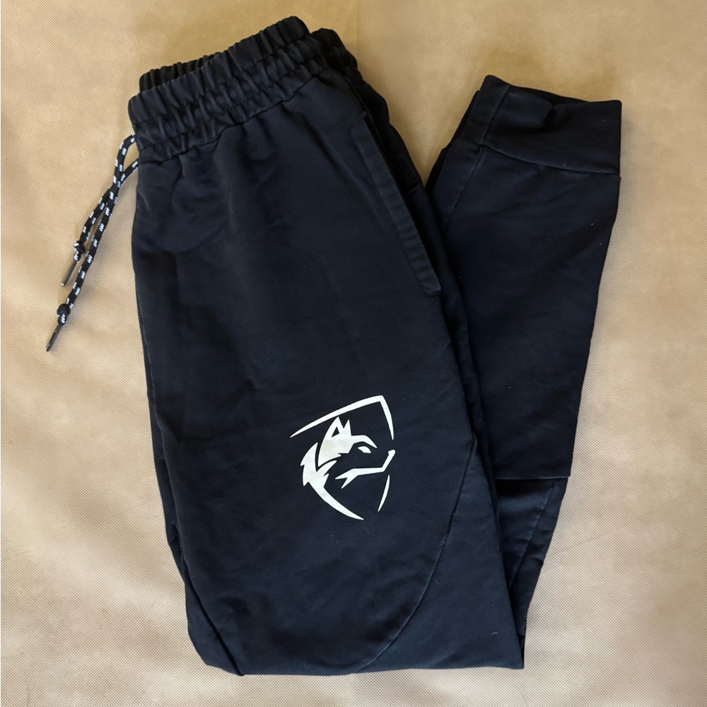 Alphalete Men’s joggers Black, Size Medium.